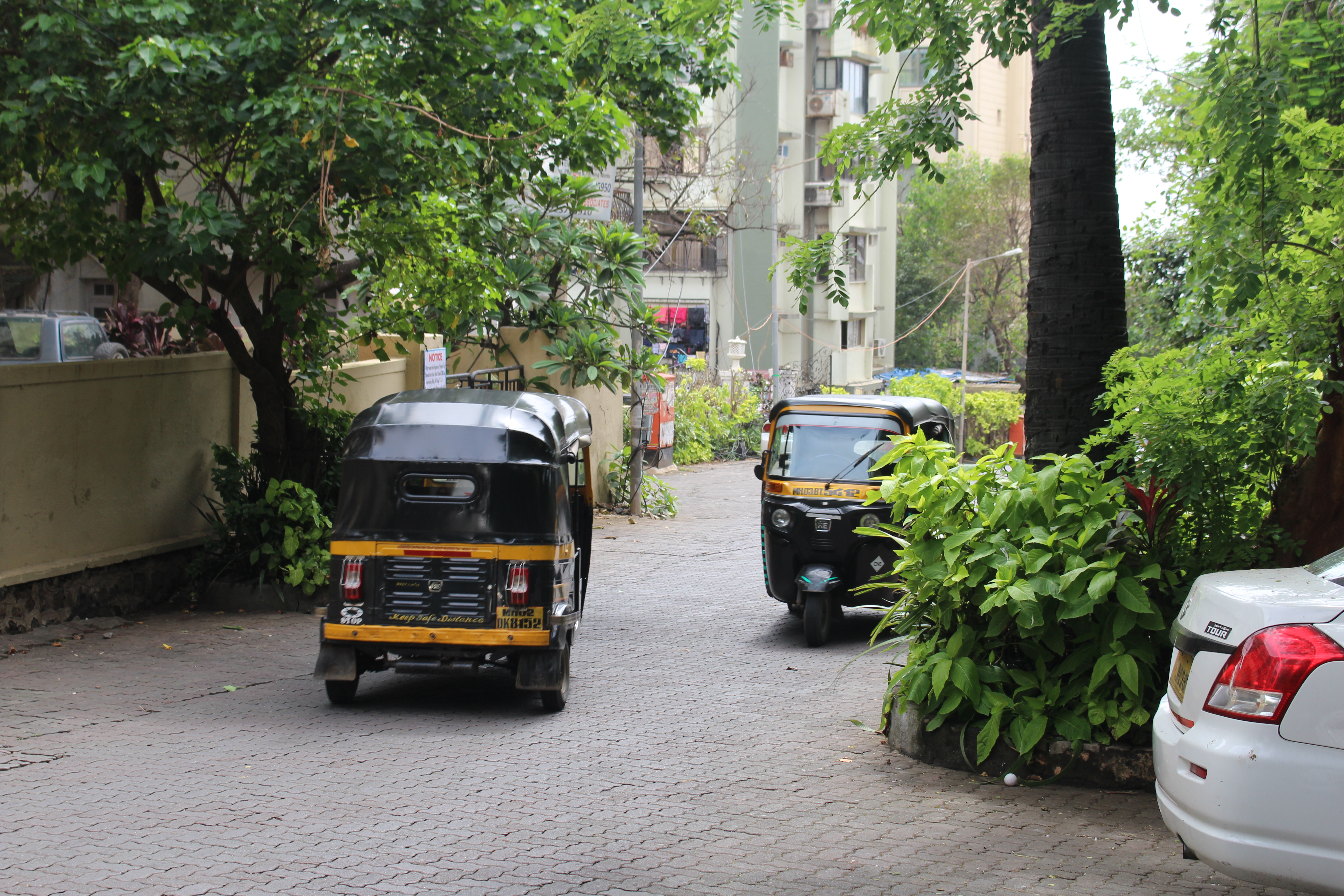 Mumbai August 2017 (133)