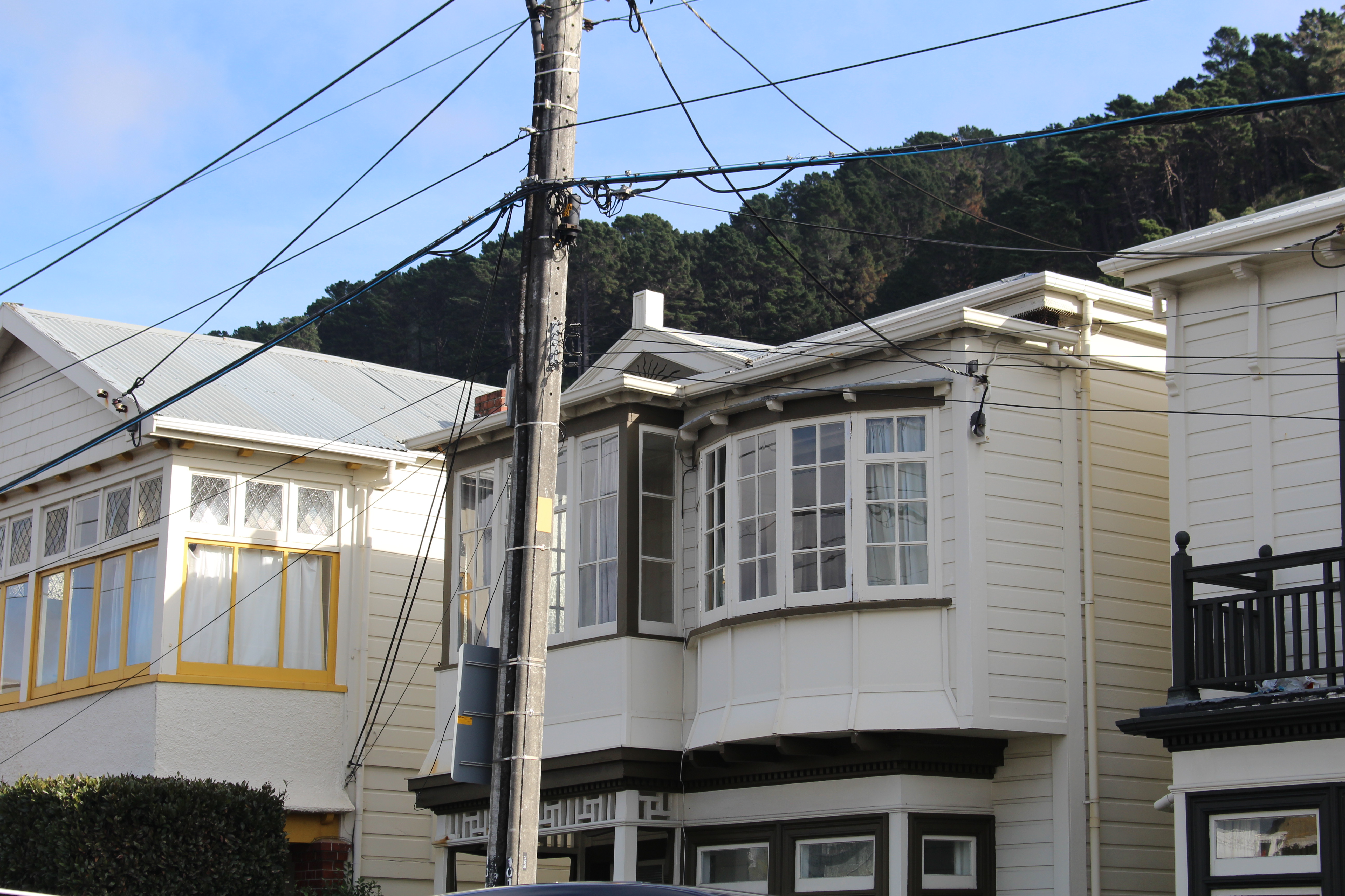 New Zealand July 2017 (250)