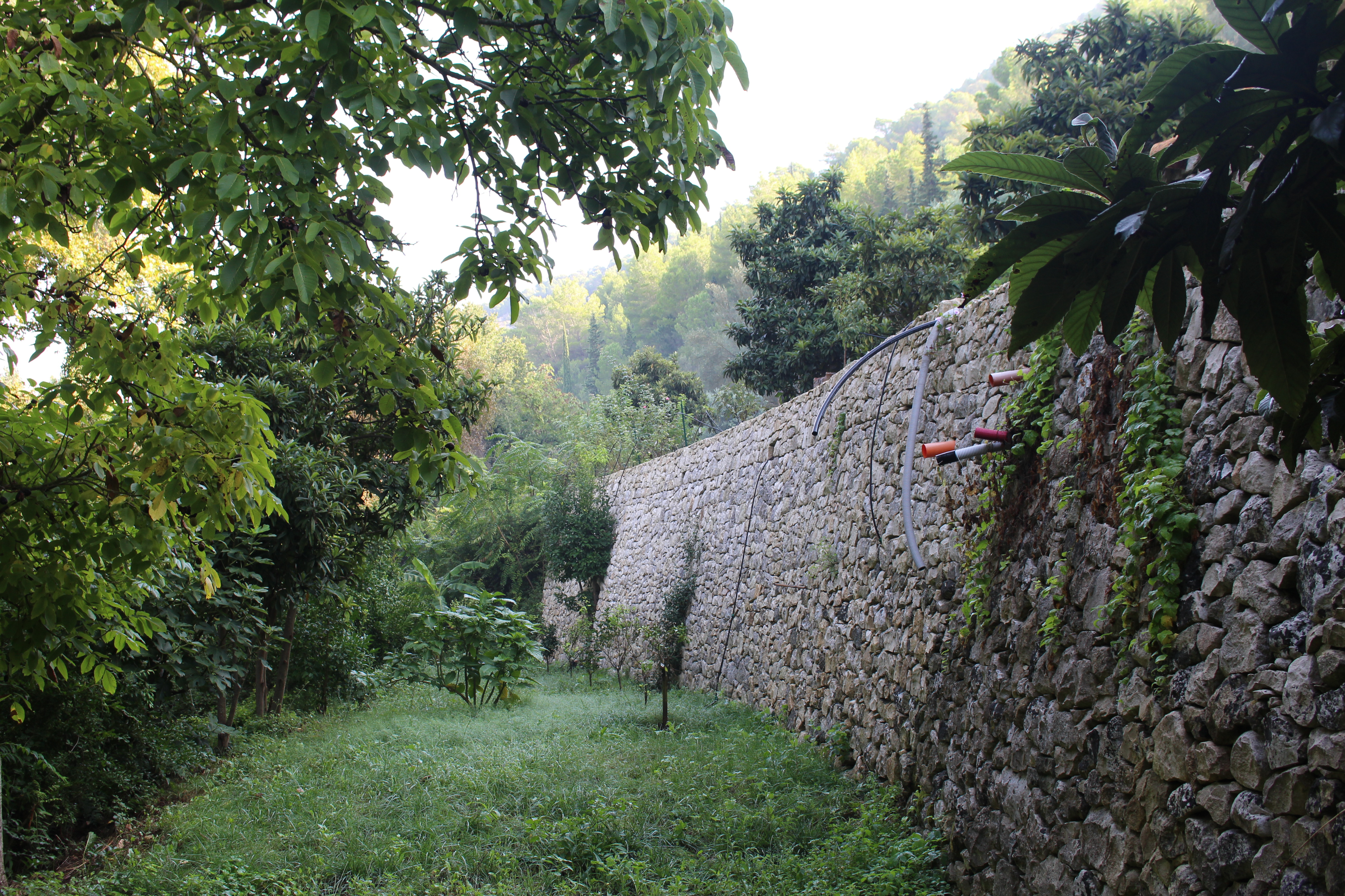 Sicily farm Sept 2018 (81)