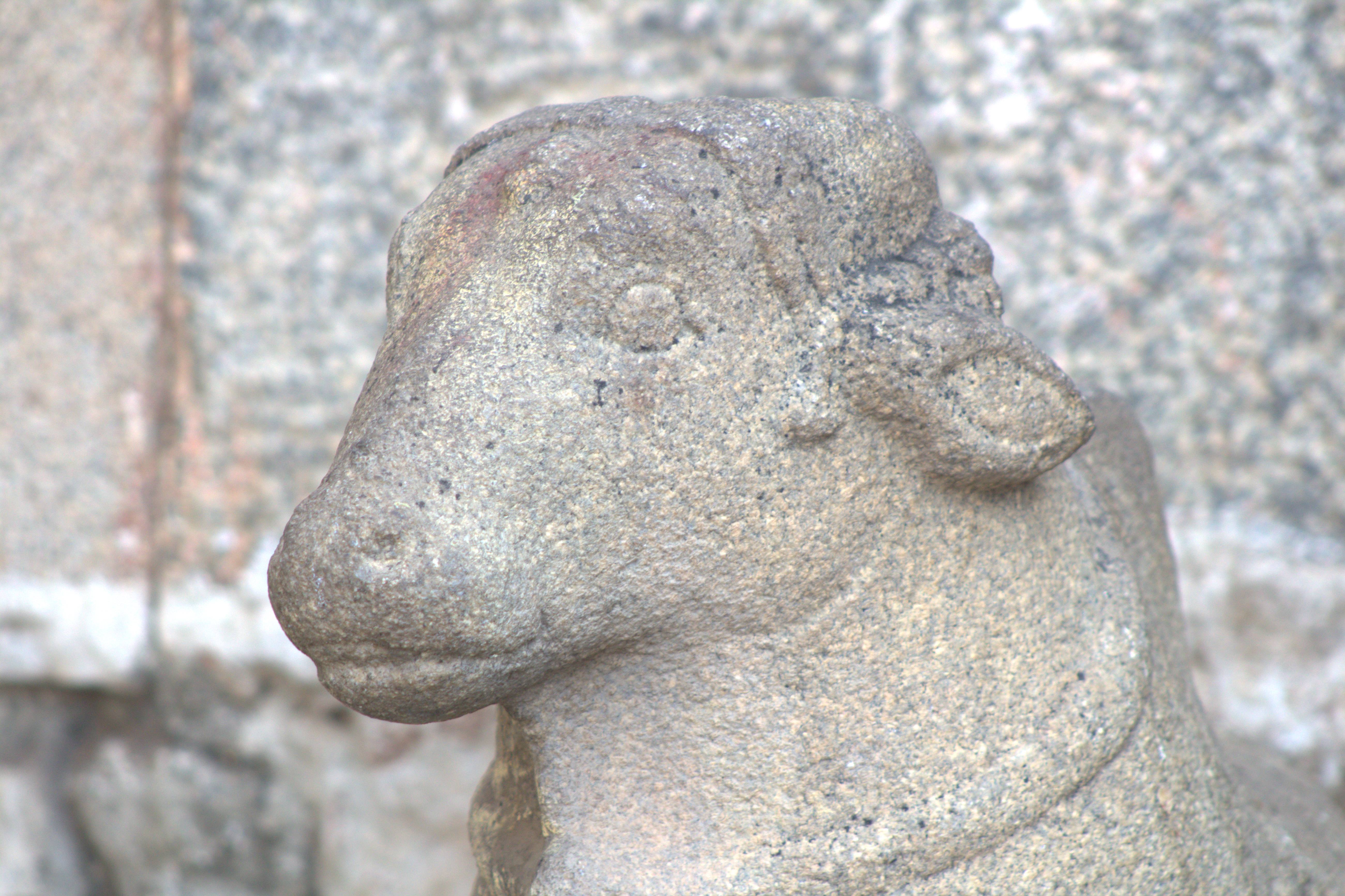 Hampi December 2018 (11)