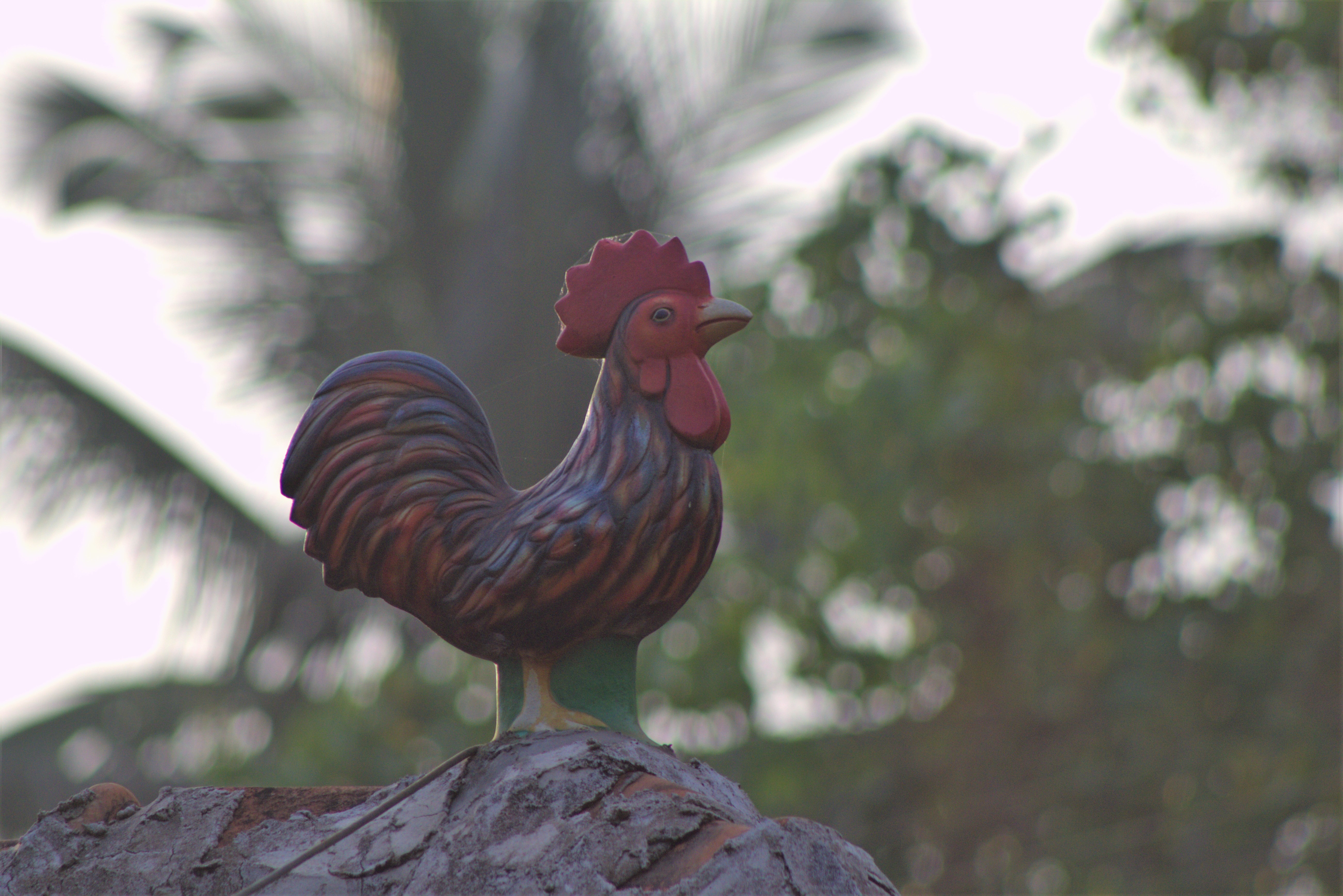 Goa towards Porvorim 2 (27)