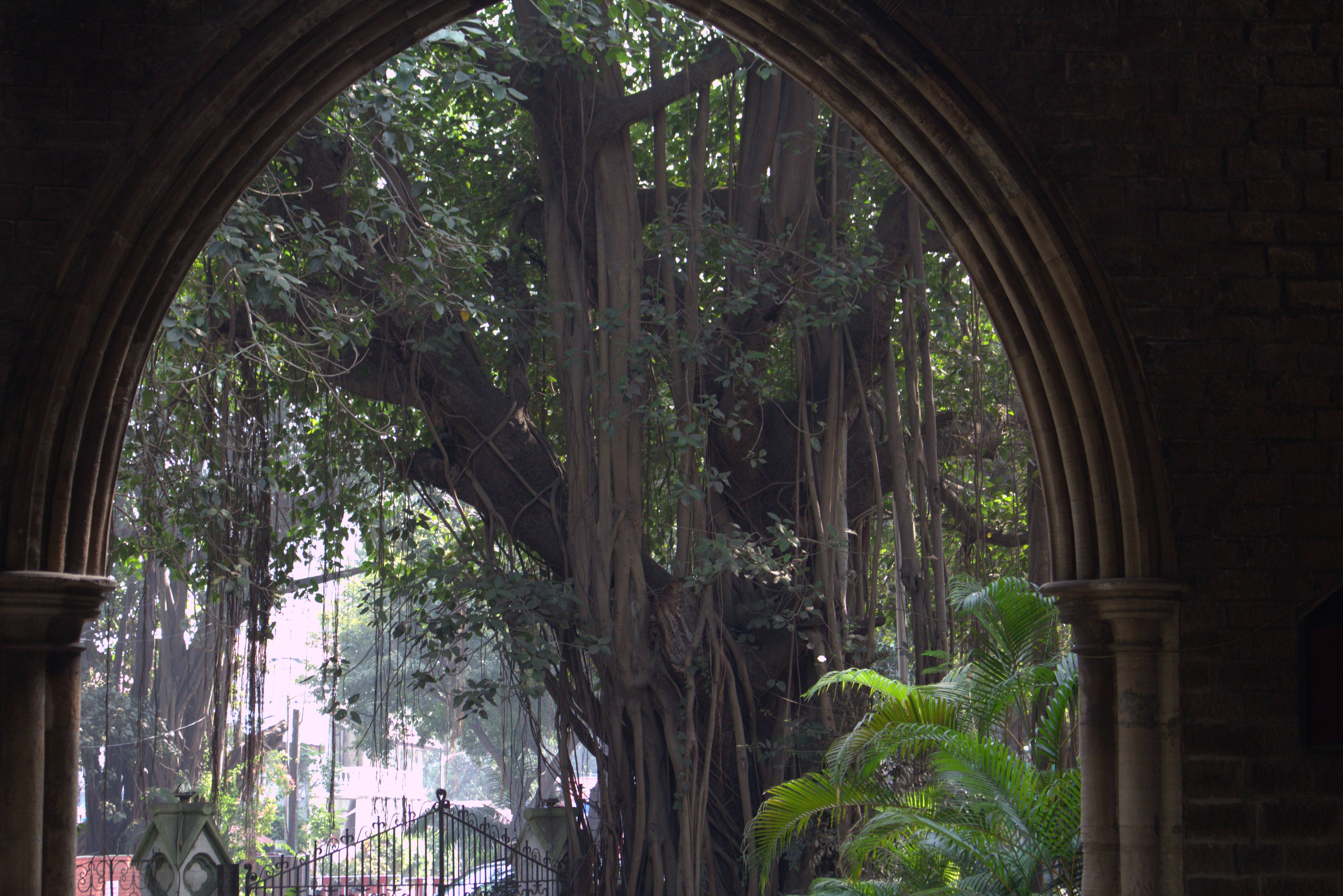 afghan church colaba (8)
