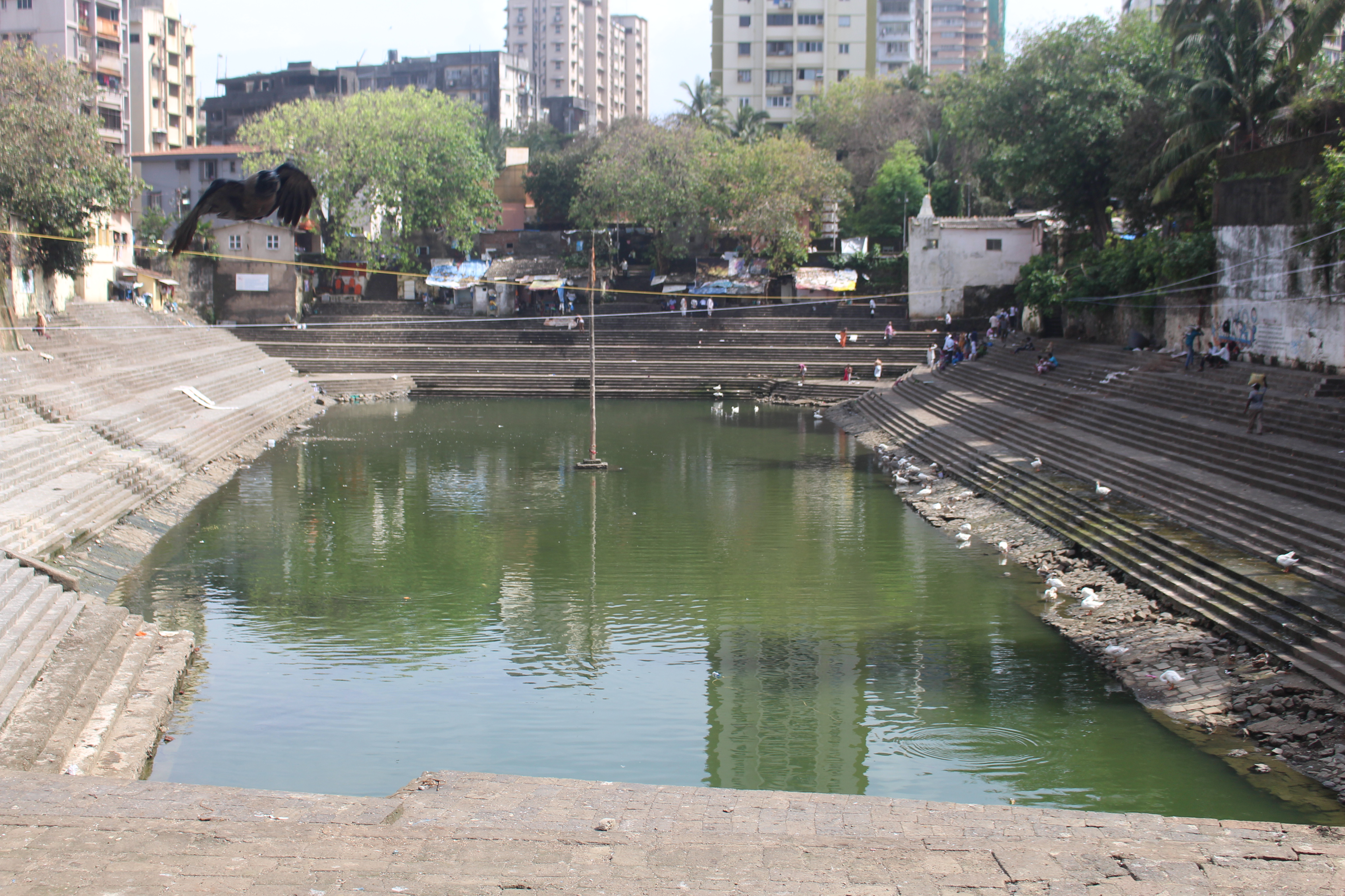 mumbai august 2017 (52)