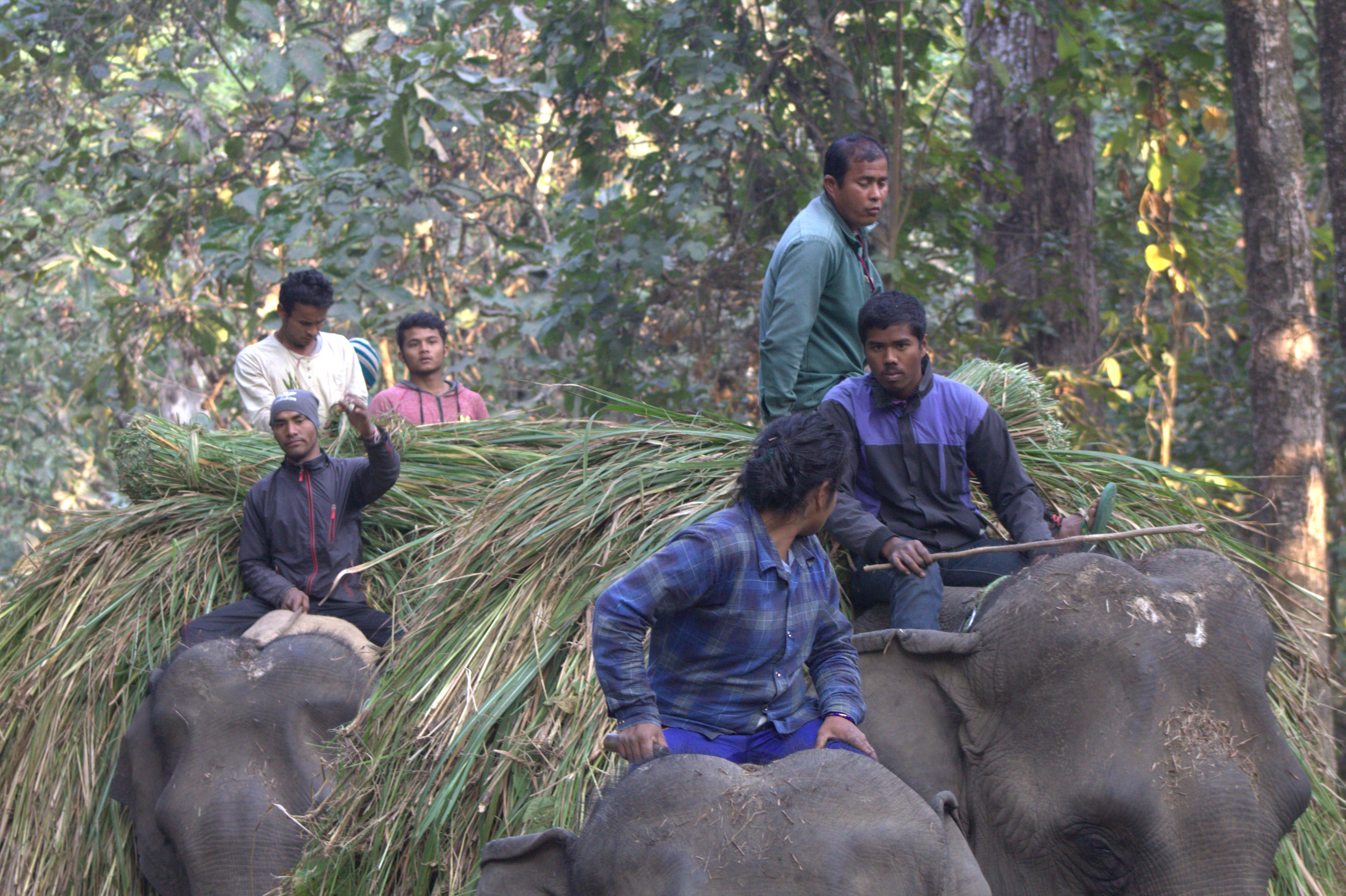 nepal january 2019 (350)