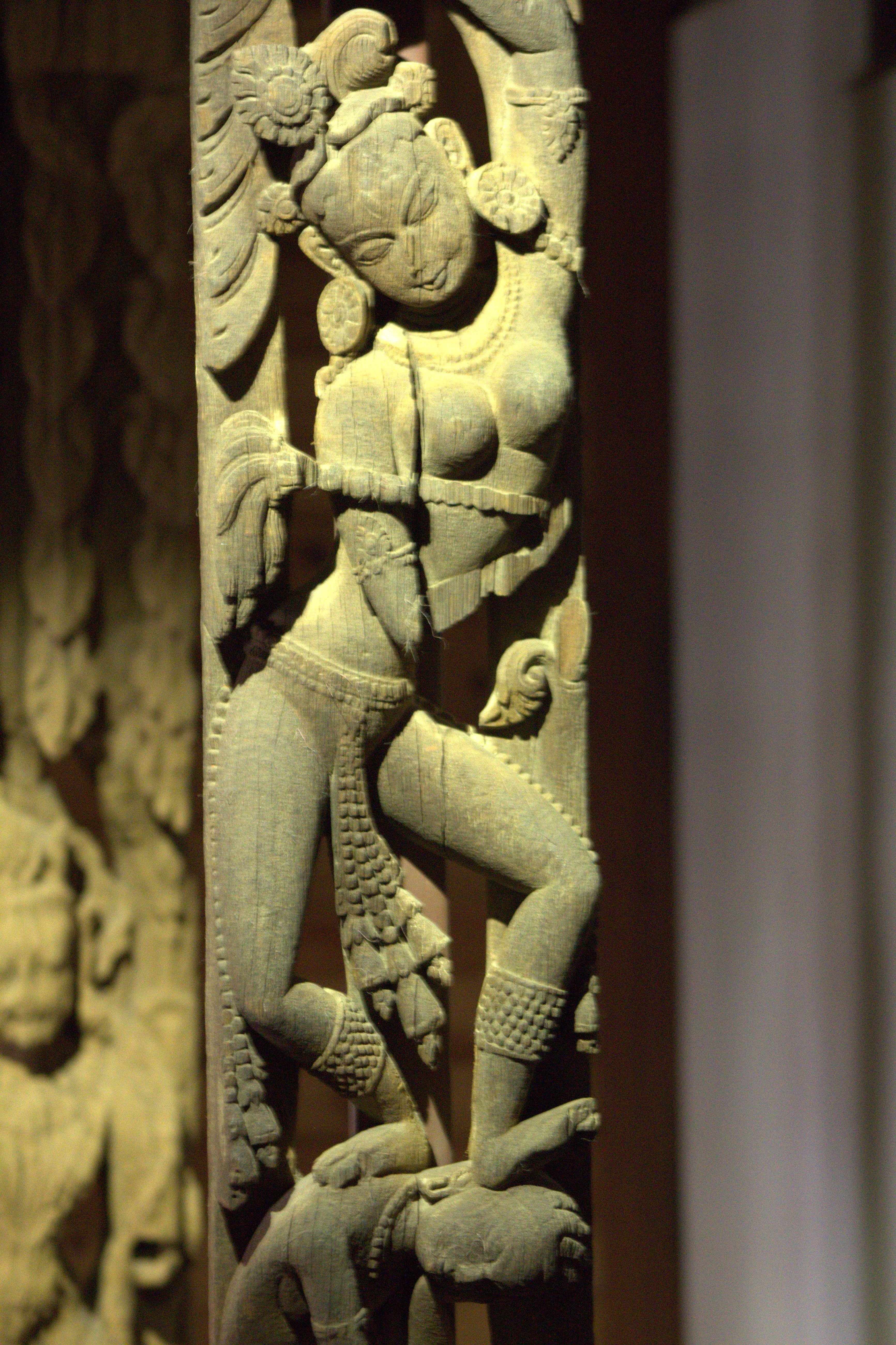 nepal january 2019 (37)