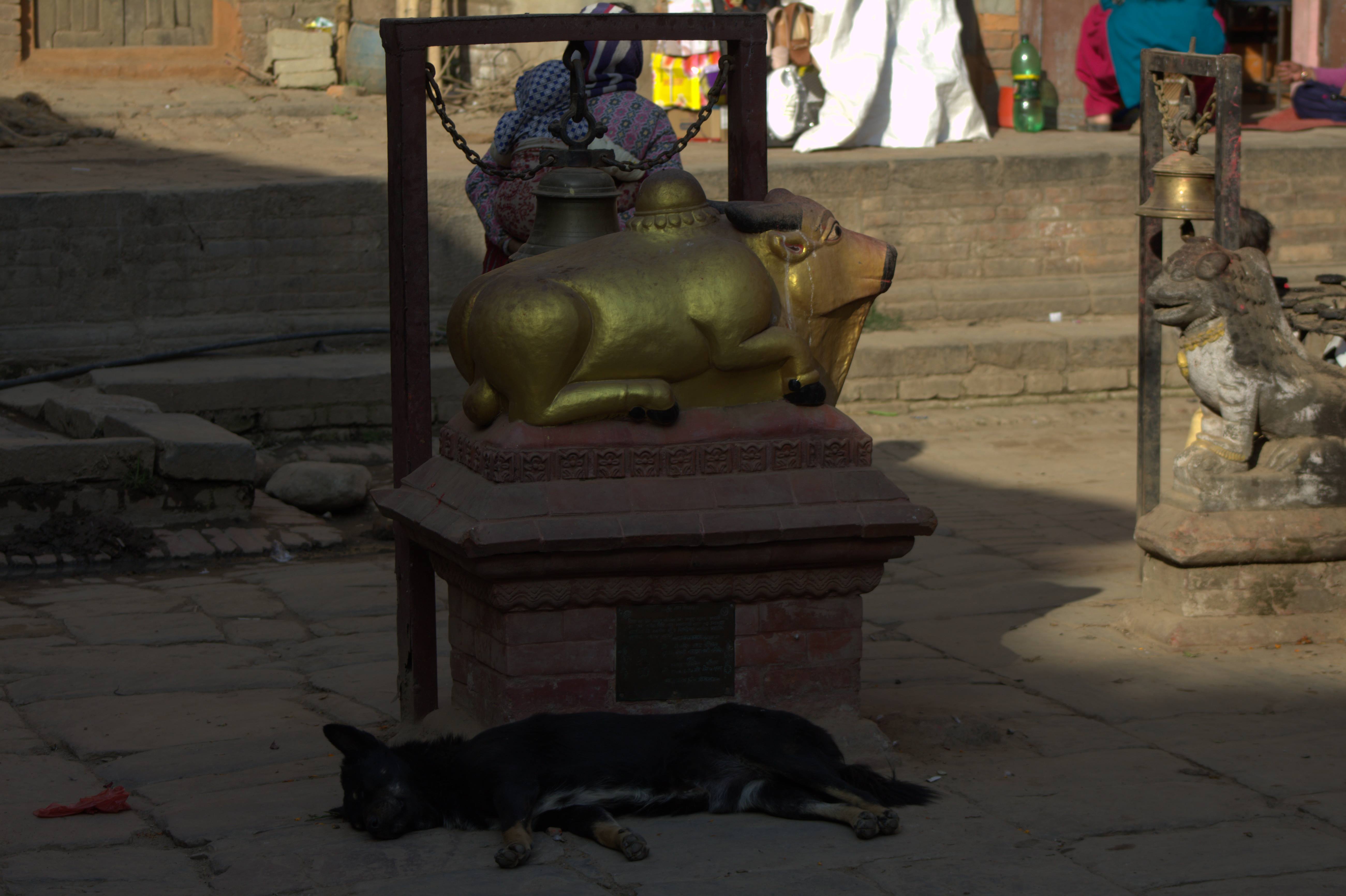 nepal january 2019 (401)