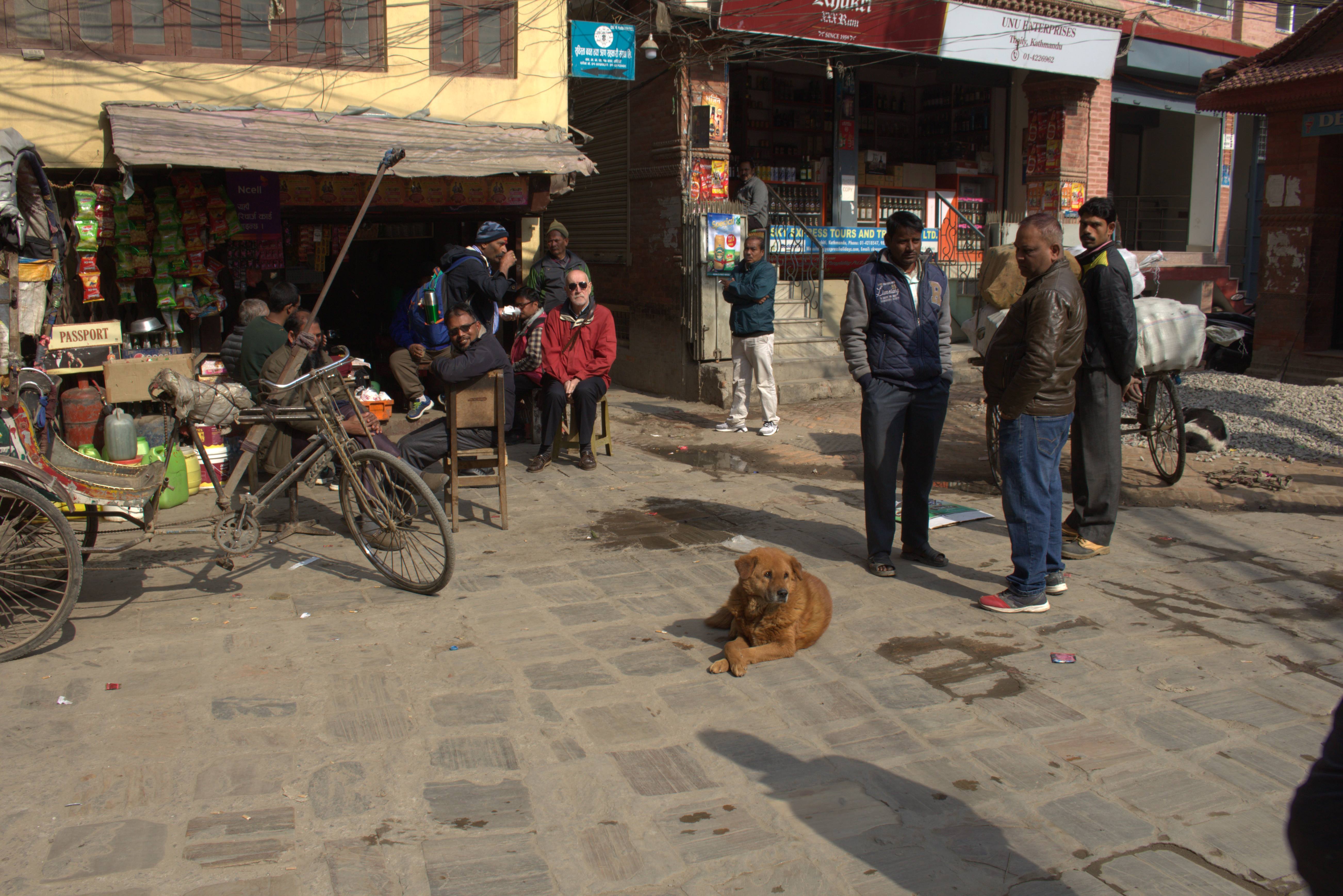 nepal january 2019 (421)