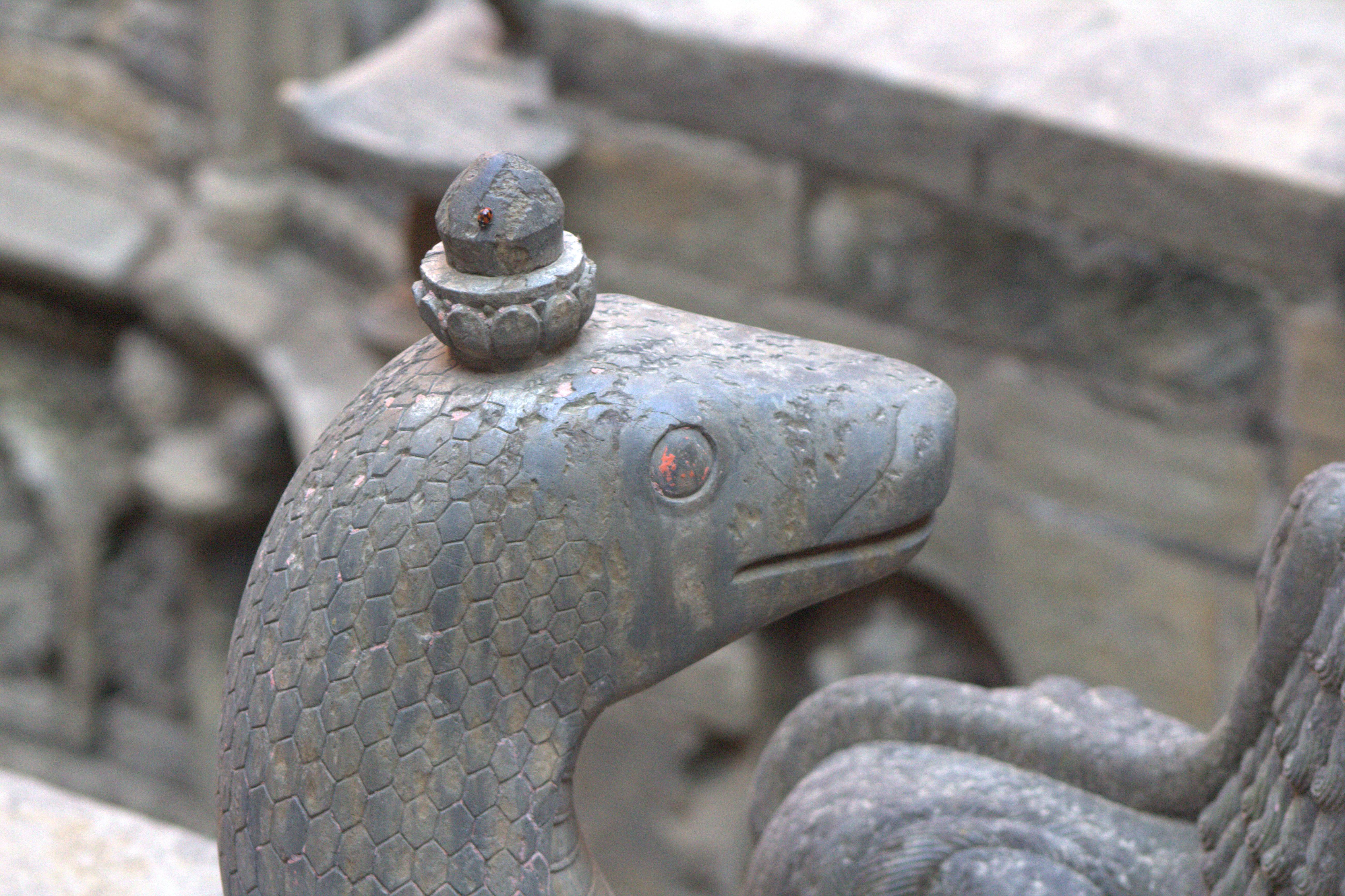 nepal january 2019 (47)