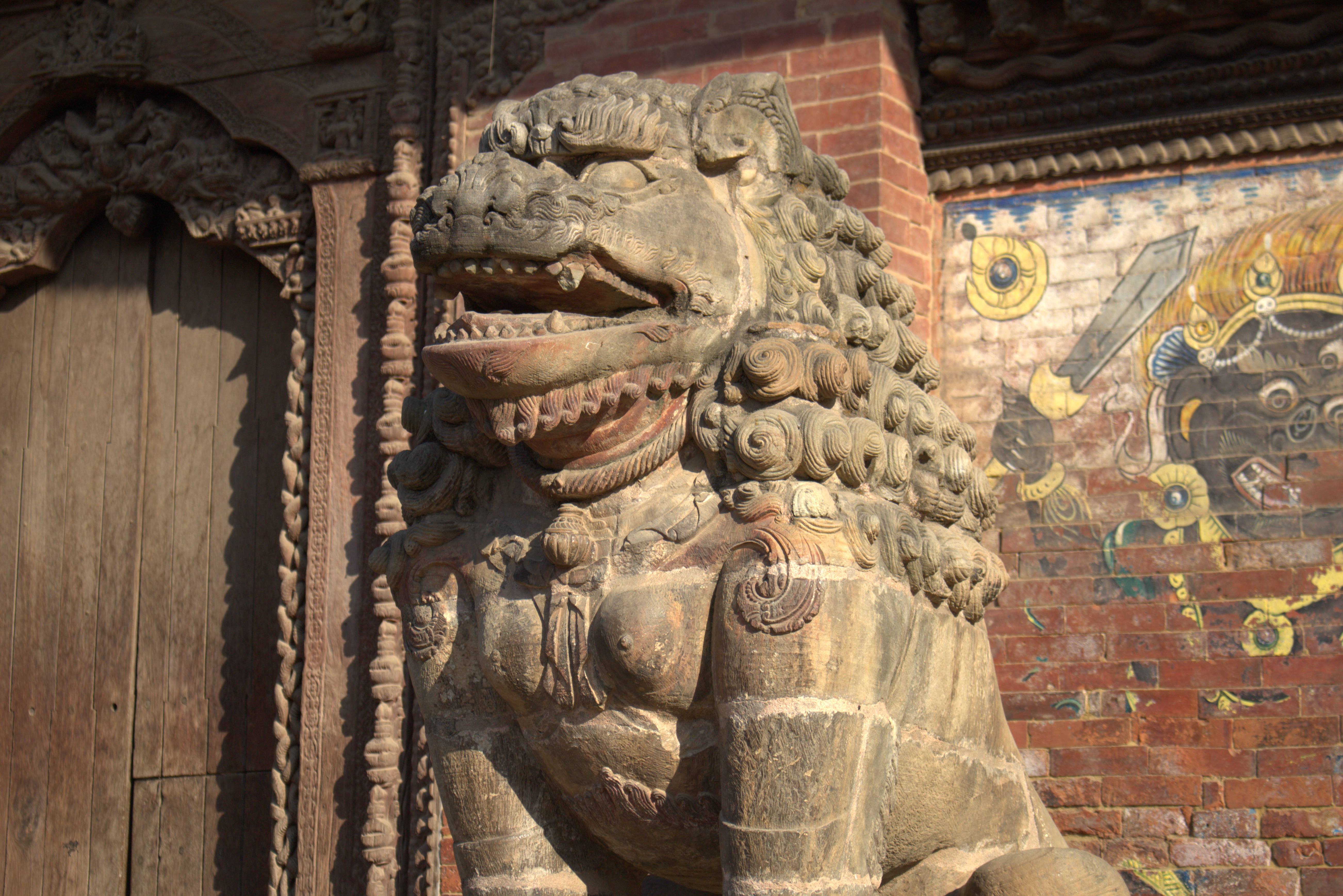 nepal january 2019 (493)