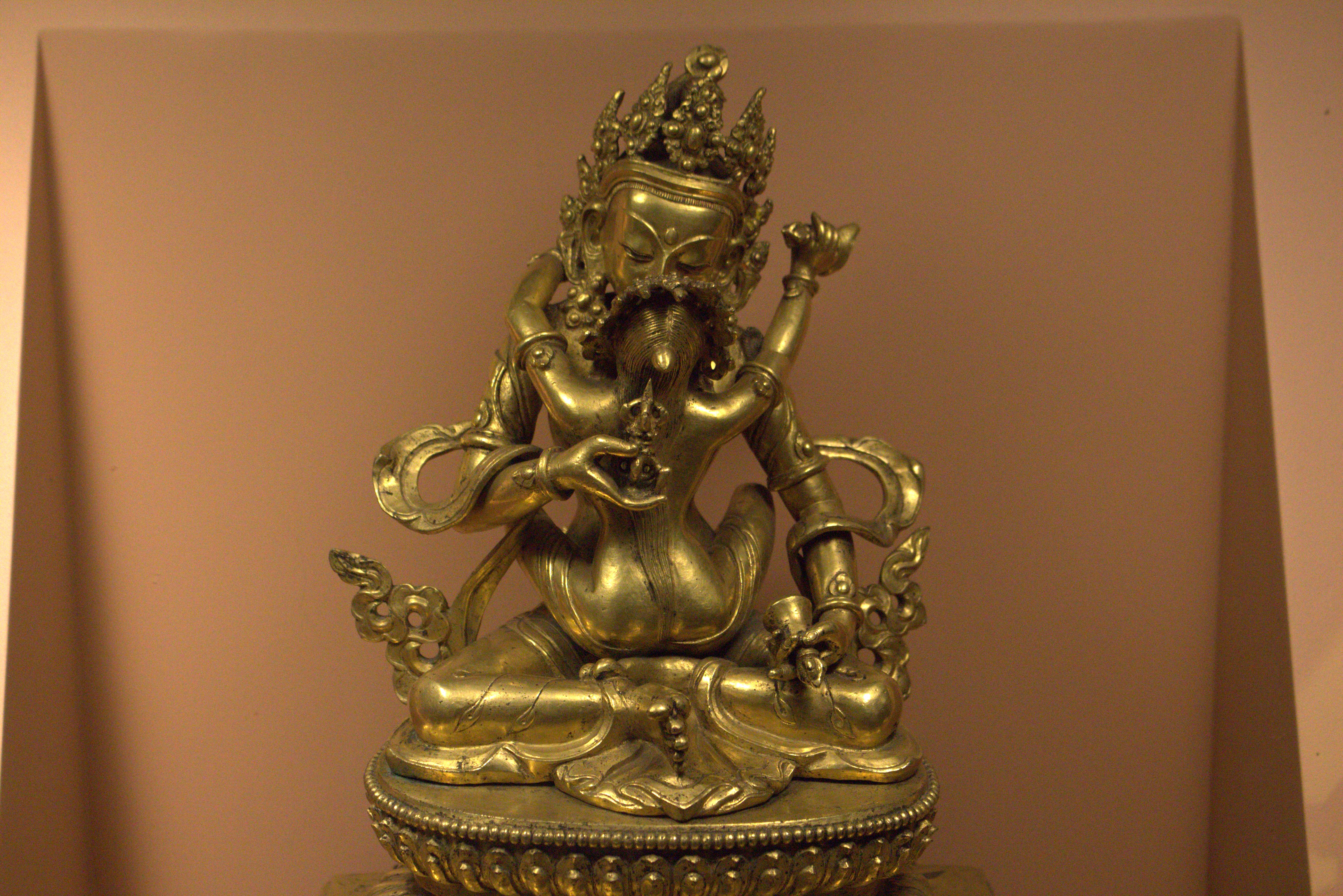 nepal january 2019 (536)