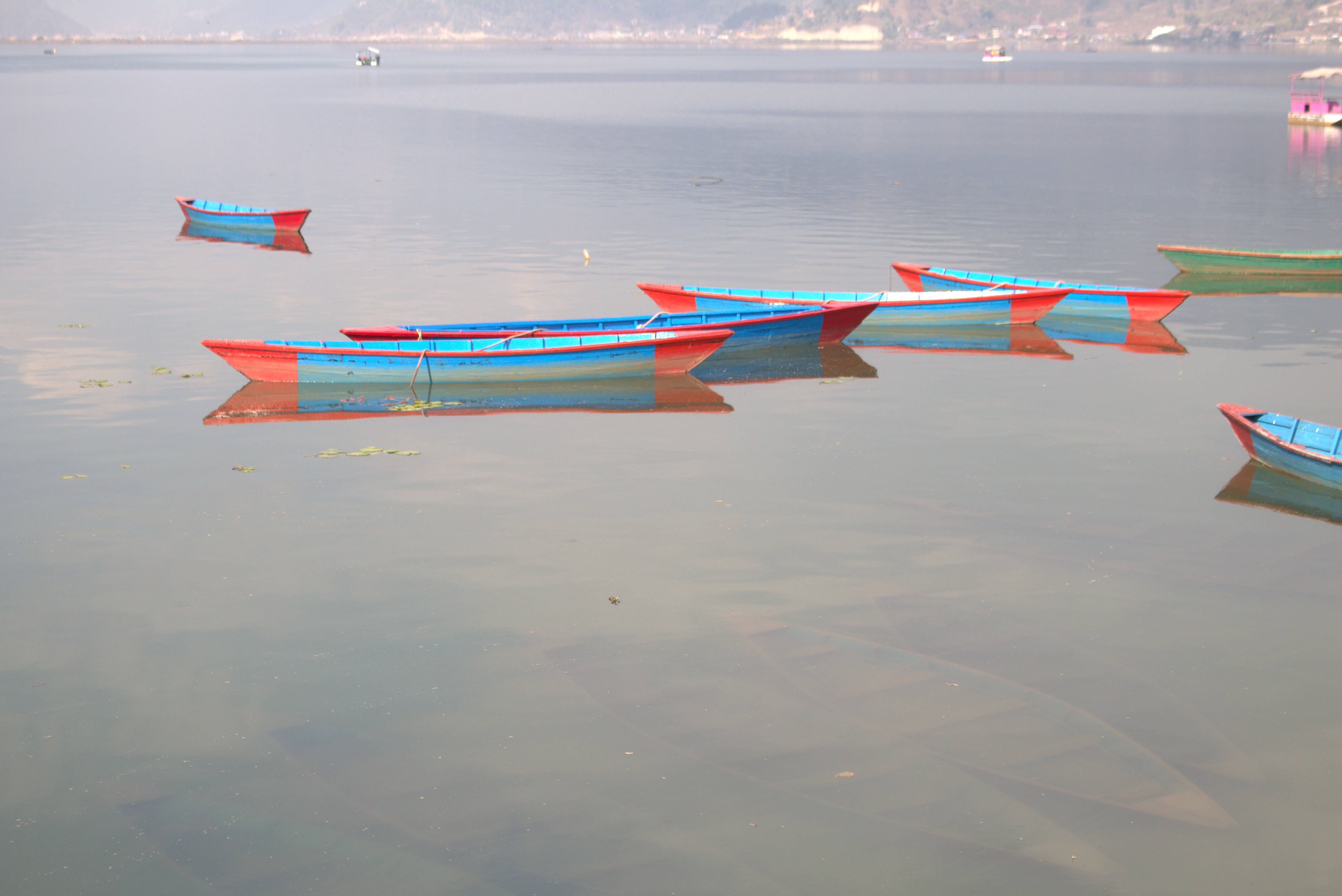 nepal january 2019 (590)