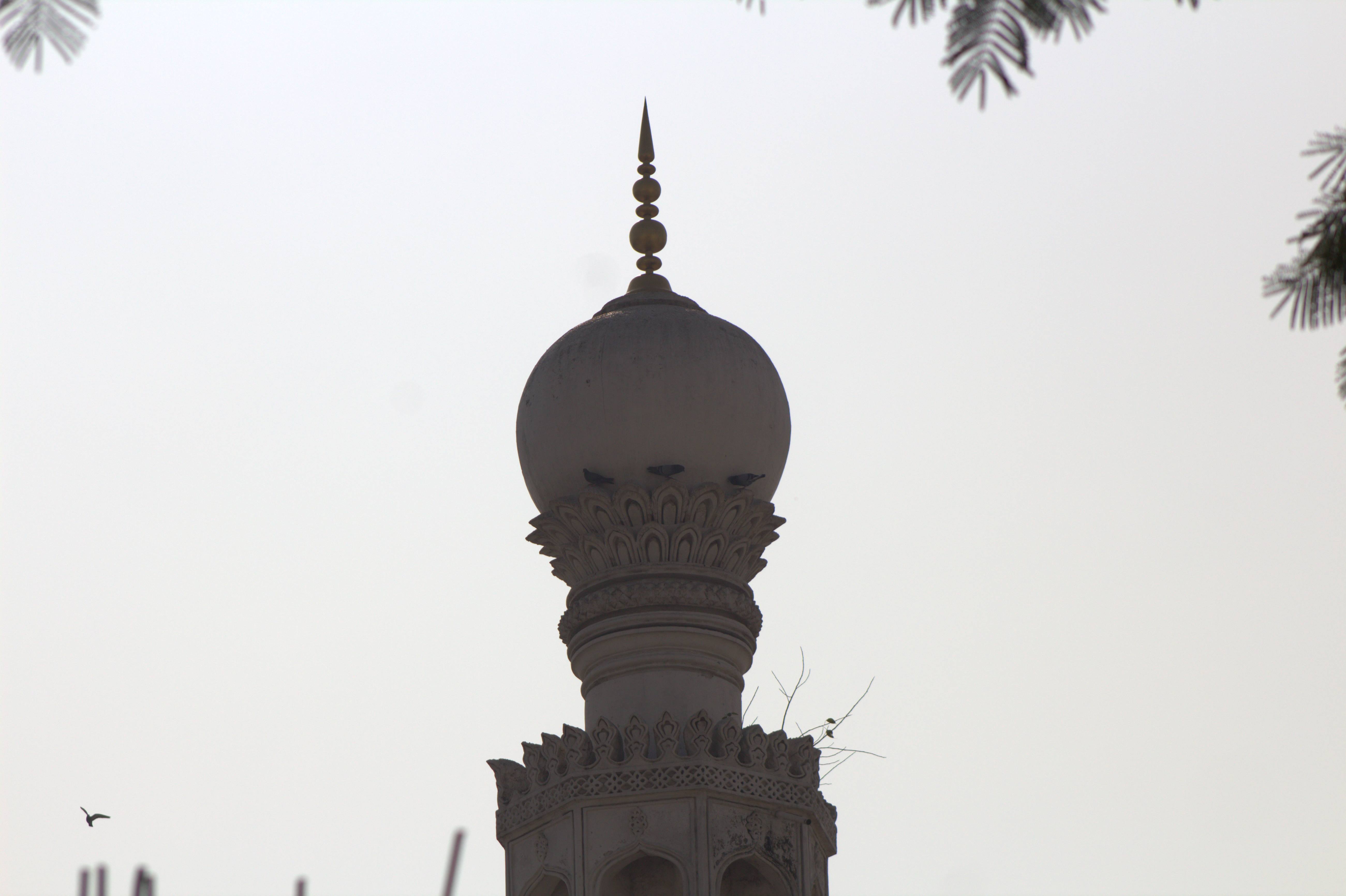 Hyderabad January 2019 (1)-1 - Copy