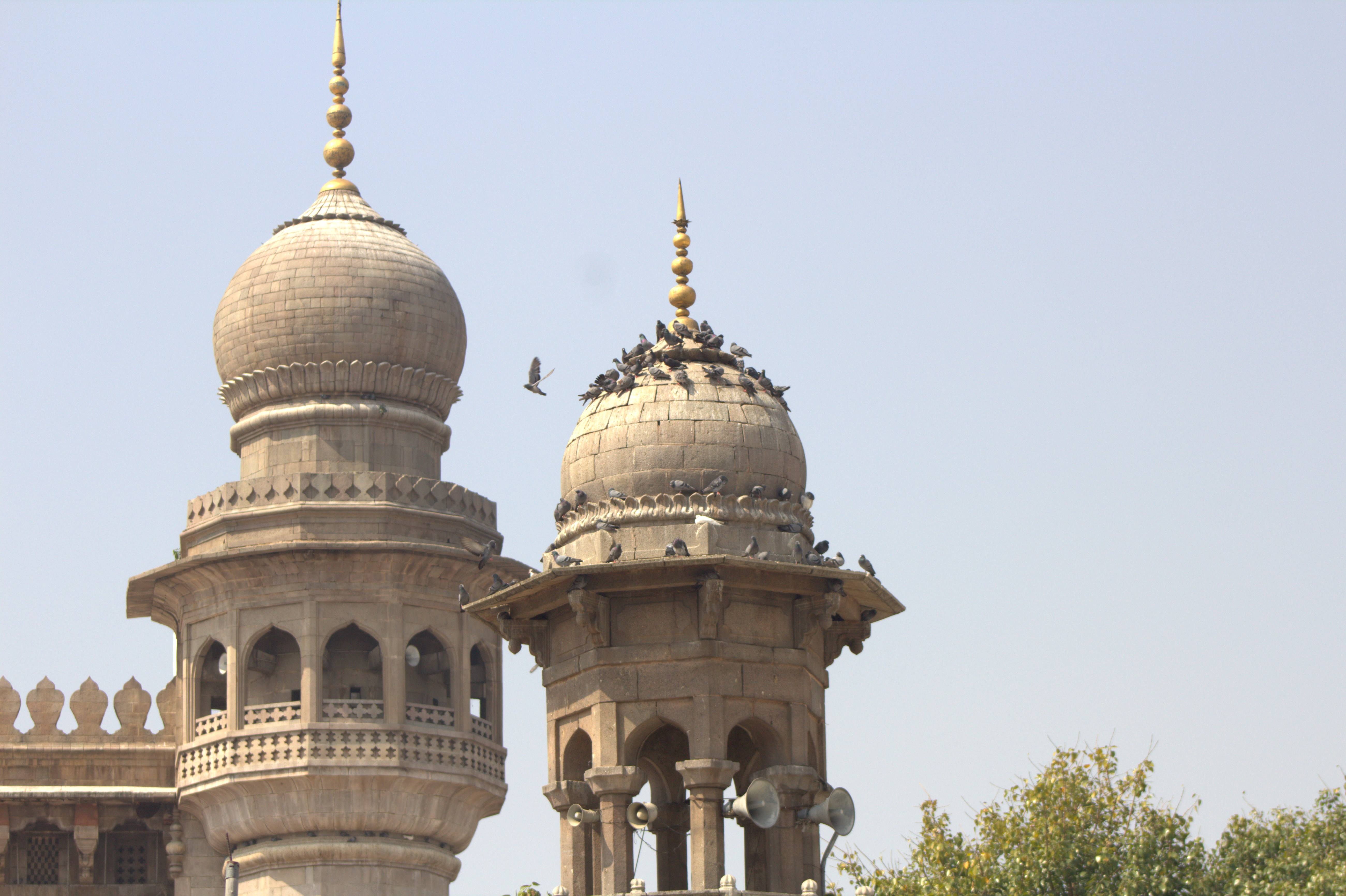 Hyderabad January 2019 (27)