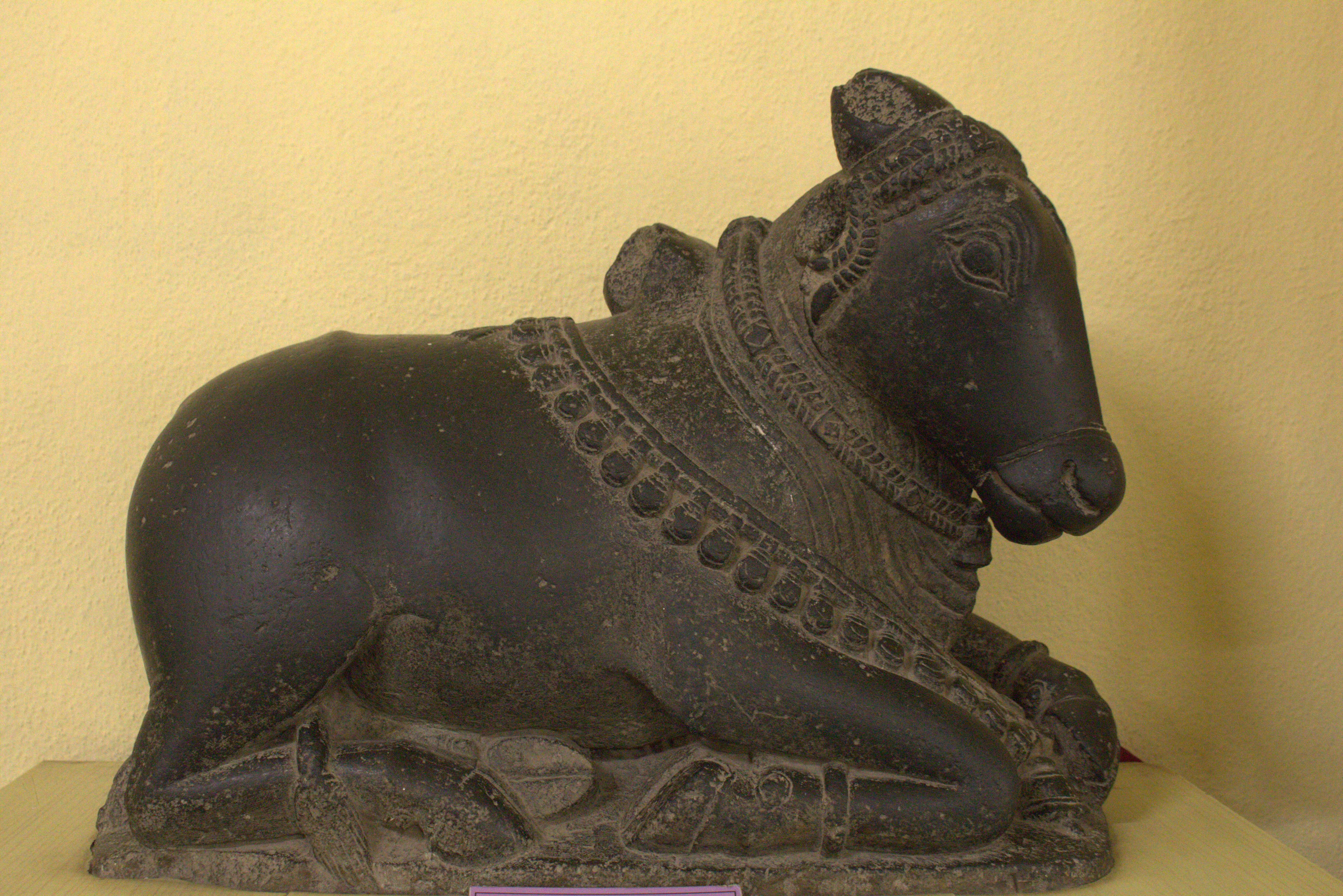 Hyderabad January 2019 (56)