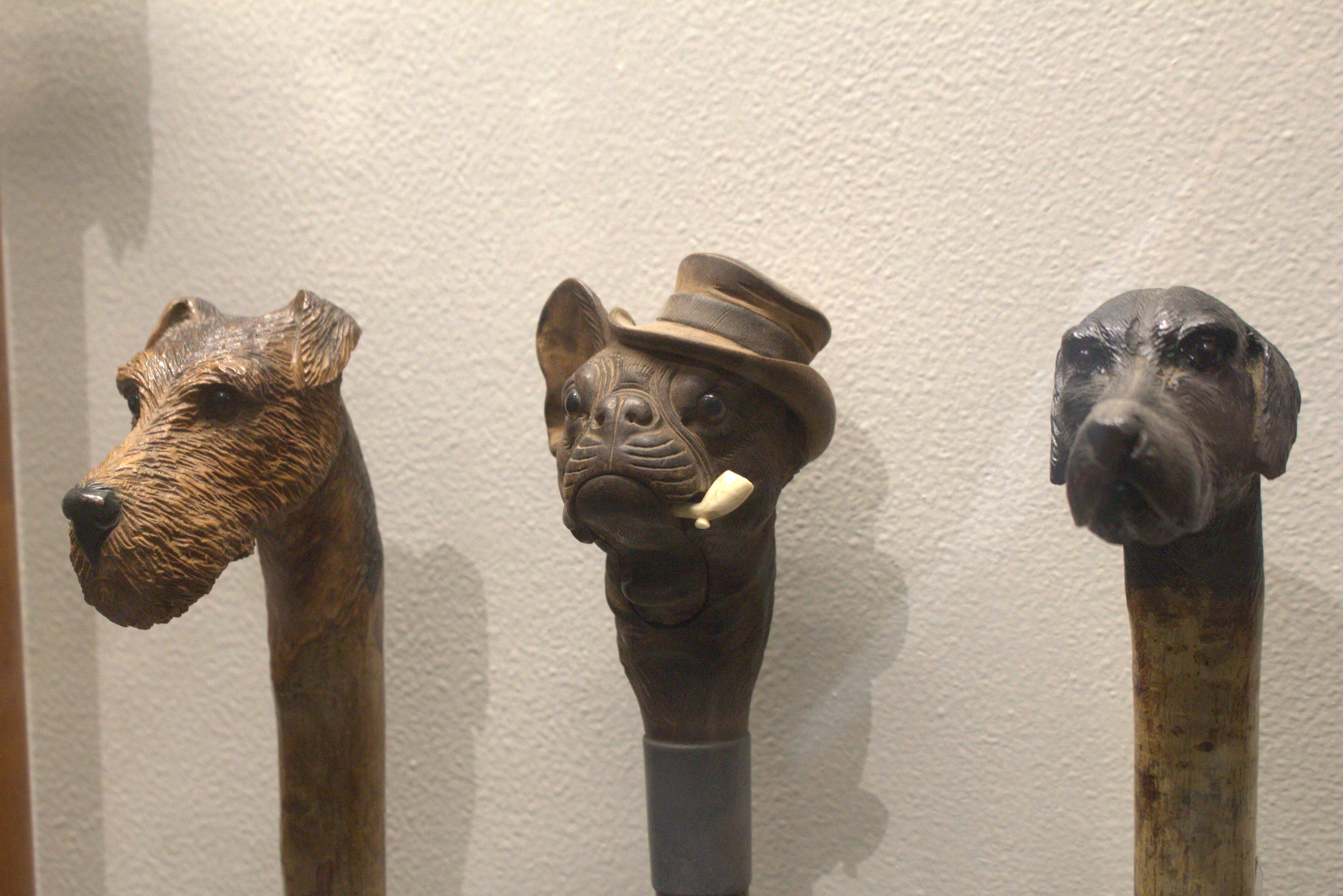 Hyderabad January 2019 (73)