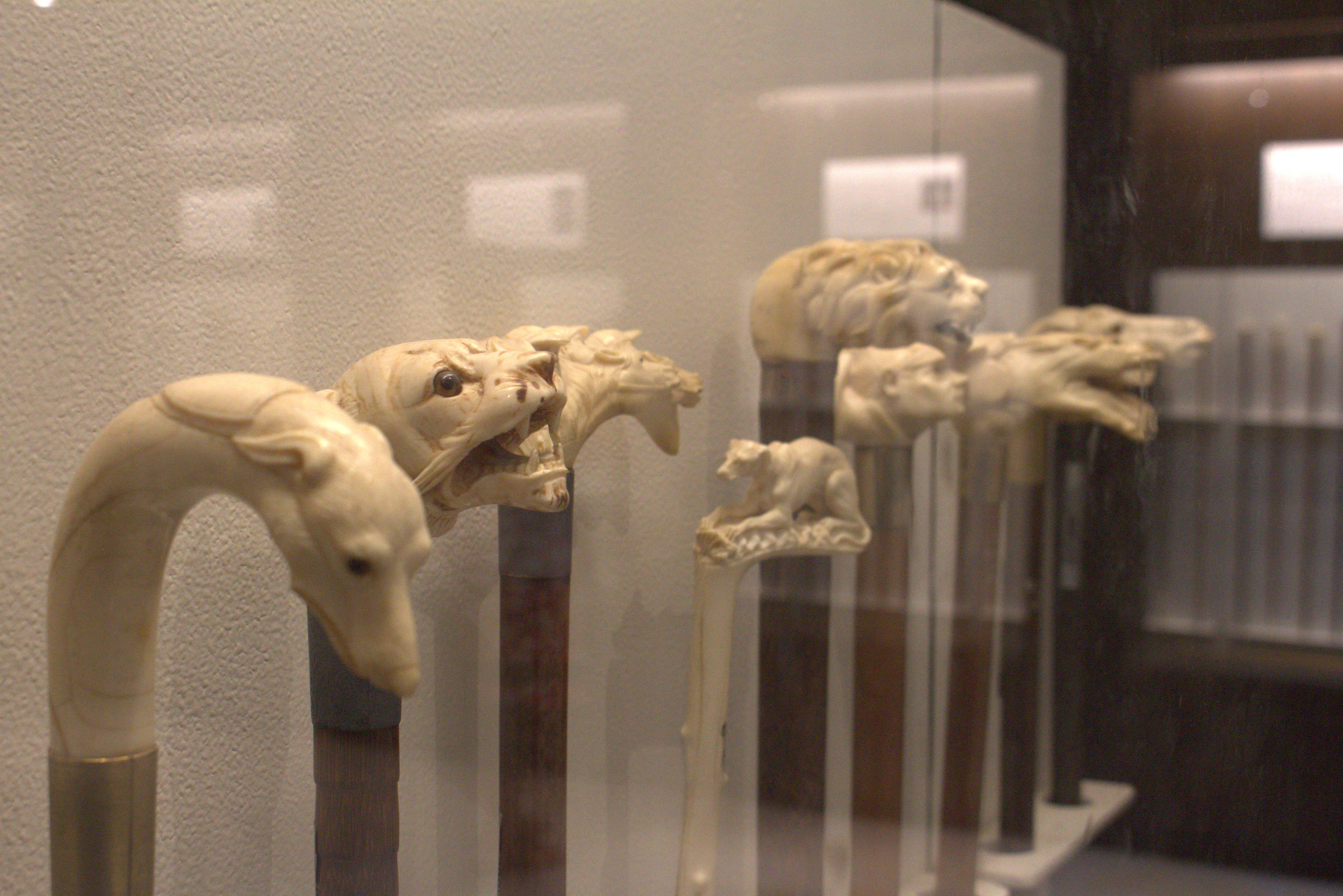 Hyderabad January 2019 (76)