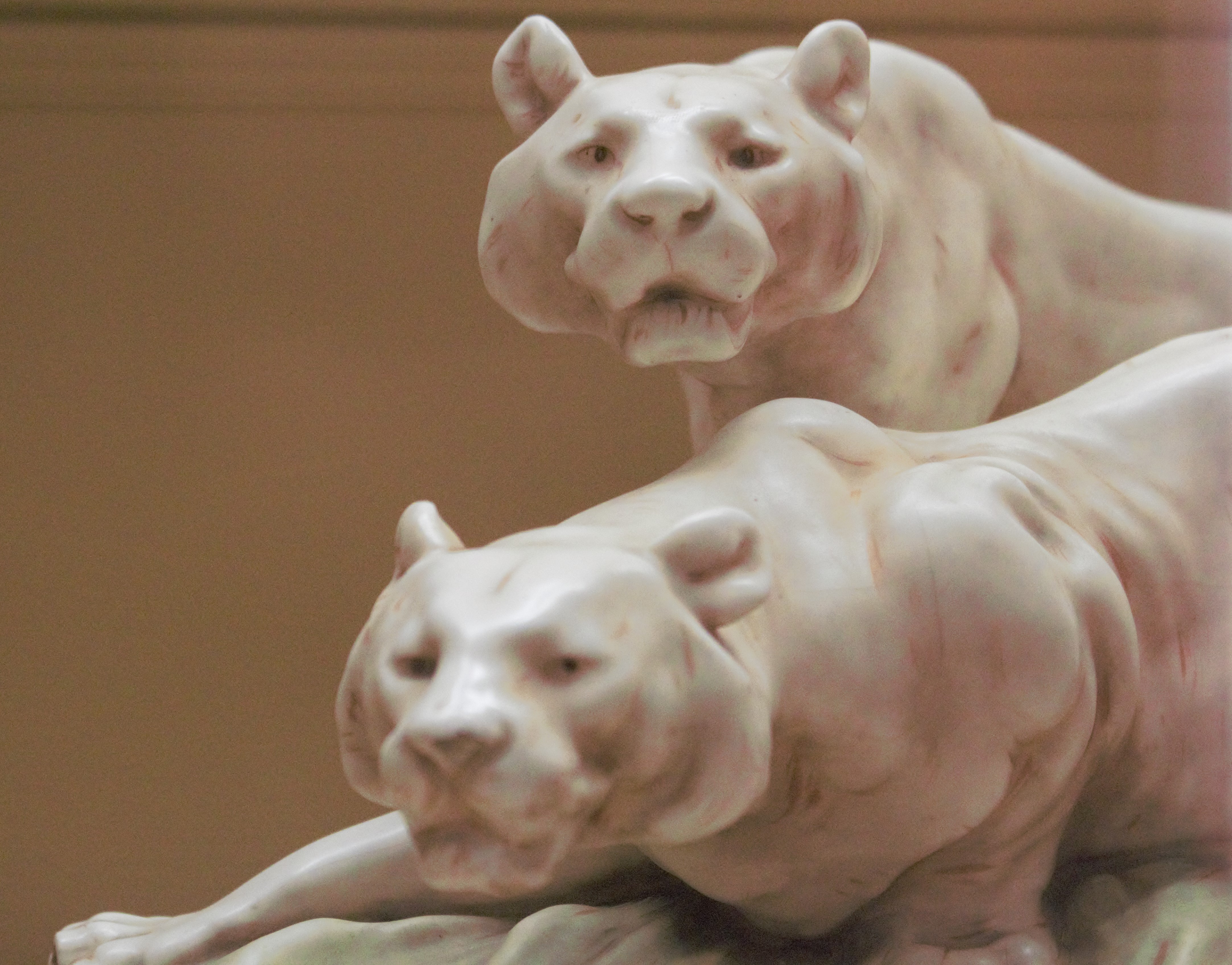 Hyderabad January 2019 (97) (2)