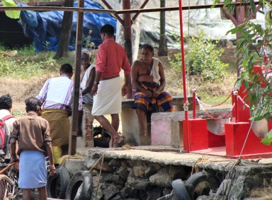 Alleppey backwaters (259) (2)