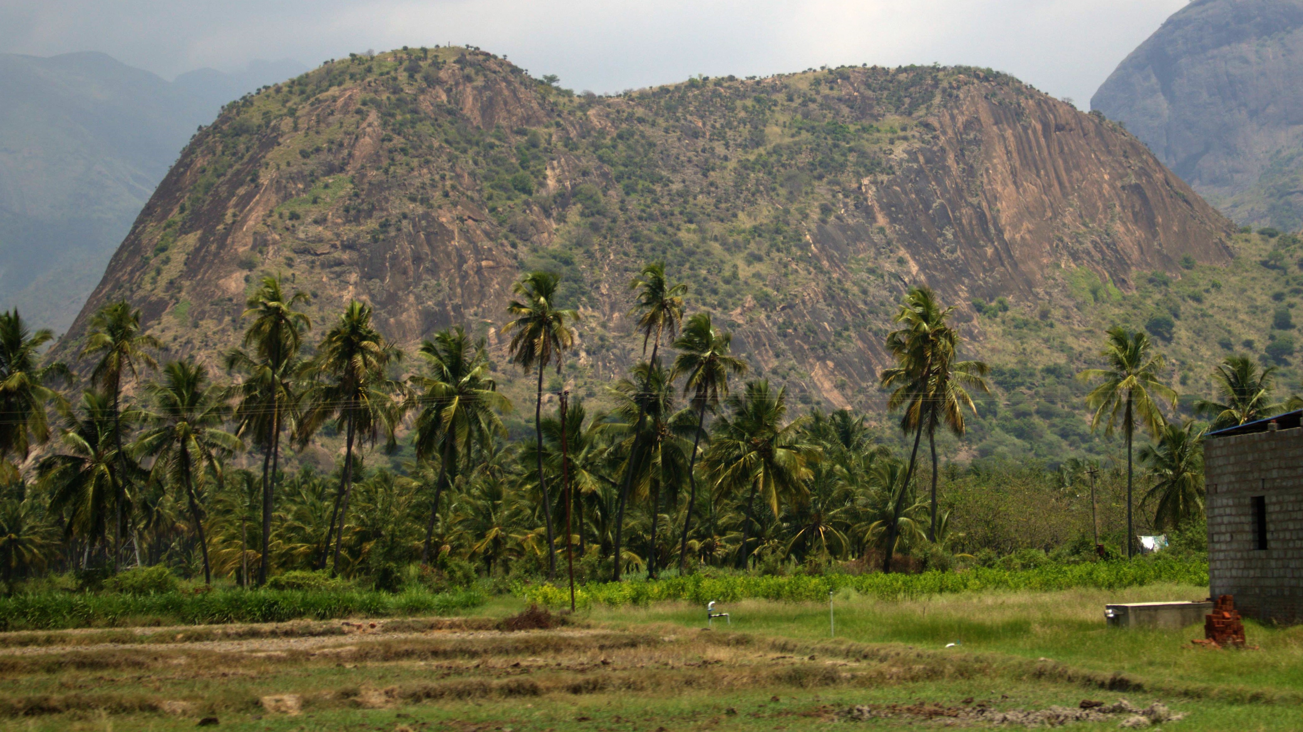 Munnar to Madurai (27)